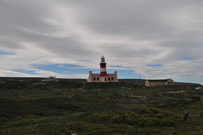 Cape Agulhas Full Day Private Tour - Cancellation Policy