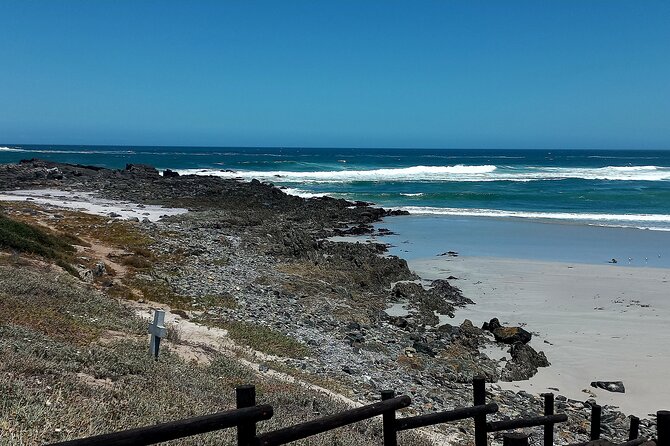 Cape Agulhas Full Day Private Tour - Whats Included