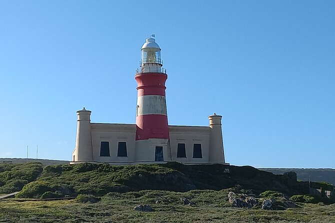 Cape Agulhas Full Day Private Tour - Pricing