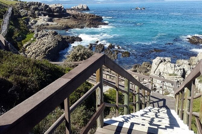 Cape Agulhas Full Day Private Tour - Common Questions