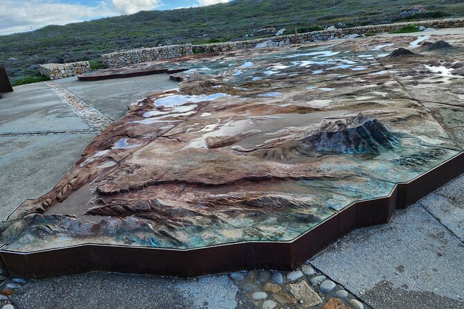 Cape Agulhas, Hermanus Whale Watching, Penguins and Wine Tasting - Stony Point Penguins Colony Tour