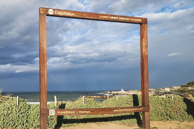 Cape Agulhas, Hermanus Whale Watching, Penguins and Wine Tasting - Scenic Drive Along Cape Whale Coast