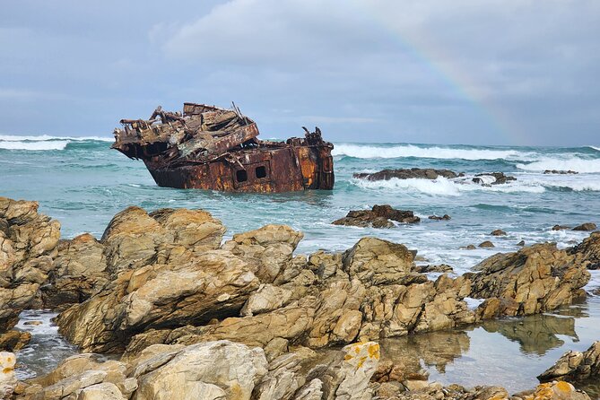 Cape Agulhas, Hermanus Whale Watching, Penguins and Wine Tasting - Frequently Asked Questions