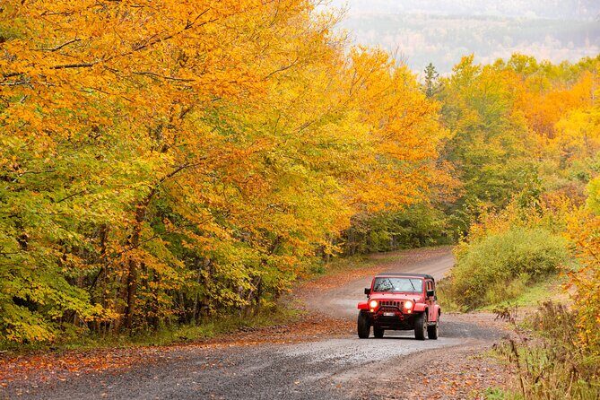 Cape Breton Waterfall Jeep Excursion - Biggest Waterfall in NS - Authentic Experiences Highlighted by Reviewers
