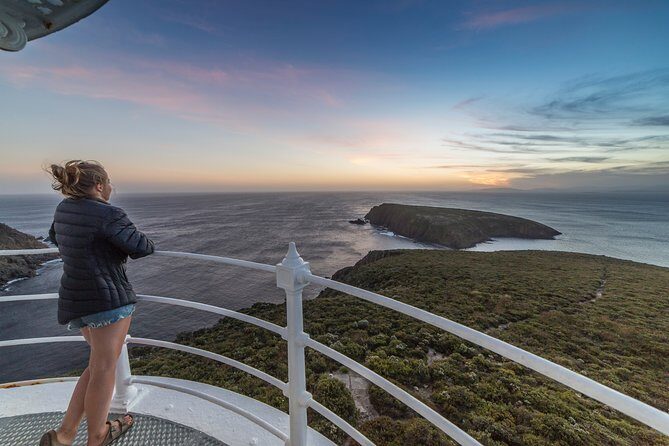 Cape Bruny Lighthouse Tour - Bruny Island - What Reviewers Say