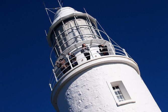 Cape Bruny Lighthouse Tour - Bruny Island - The Sum Up