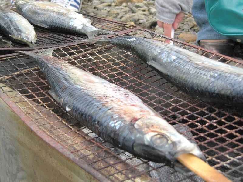 Cape Camui & Shiroi Koibito Park & Otaru & Shakotan Day Tour - What the price covers, and what it does not