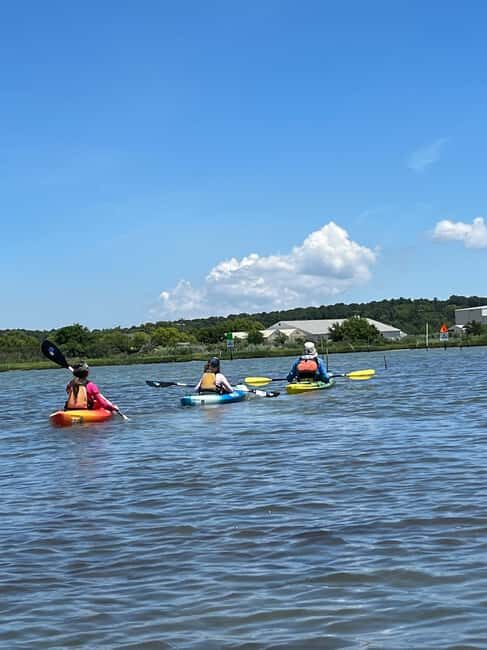 Cape Charles, VA: Introduction to Sea Kayaking - The Itinerary – What to Expect