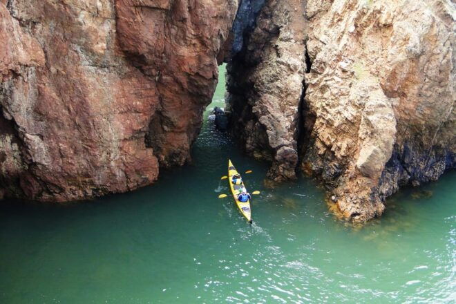 Cape Chignecto: Three Sisters Kayaking Day Tour - Inclusions