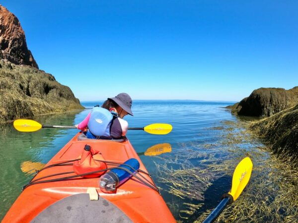 Cape Chignecto: Three Sisters Kayaking Day Tour - Prohibited Items