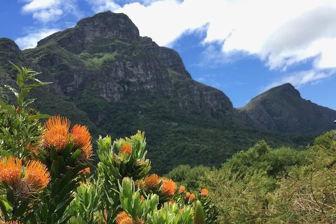 Cape City Centre & Kisternbosch Botanical Gardens Full Day Tour. - Itinerary Details