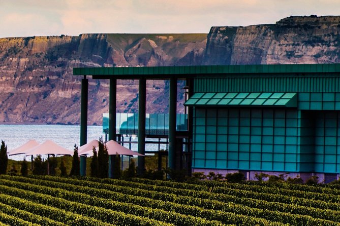 Cape Coast Wineries Self-Guided Scenic Bike Tour From Napier - Pricing and Booking
