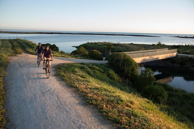 Cape Coast Wineries Self-Guided Scenic Bike Tour From Napier - Tour Overview