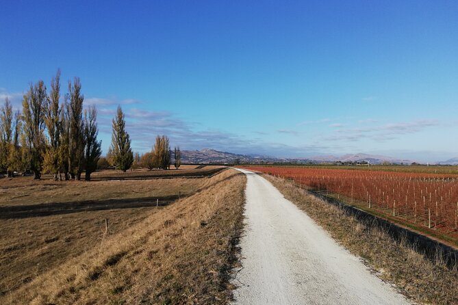Cape Coast Wineries Self-Guided Scenic Bike Tour From Napier - Opportunity for Wildlife Exploration