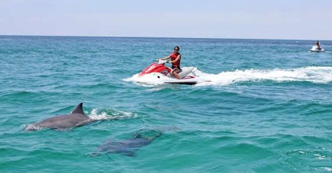 Cape Coral and Fort Myers: Sanibel Causeway Jet Ski Tour - Inclusions