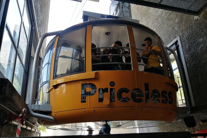 Cape-Experience Small Group to Chapmans Peak & Penguin Colony - Customer Reviews