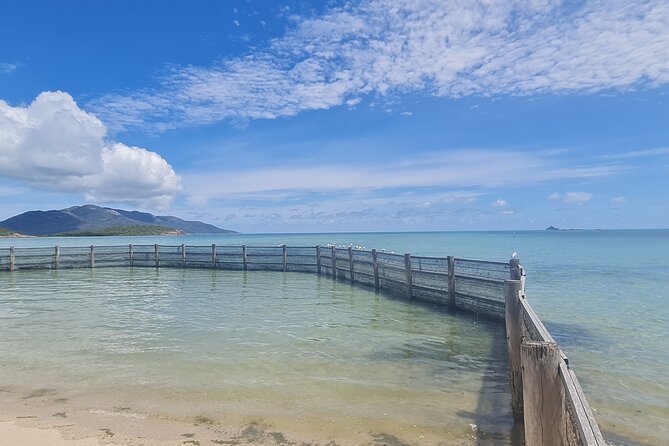 Cape Gloucester Beaches Resort and Dingo Beach Tour - Terms & Conditions