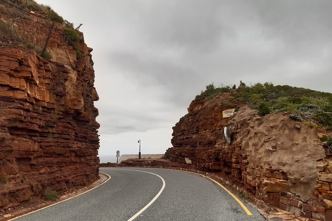 Cape Half-Day Experience to Penguin Colony and Chapmans Peak - Discovering St. James