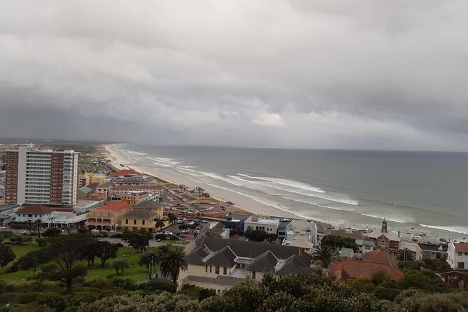 Cape Half-Day Experience to Penguin Colony and Chapmans Peak - Visiting the Penguin Colony