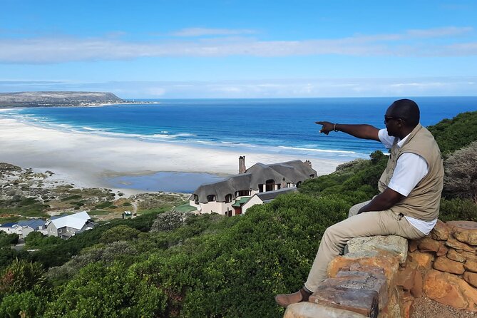 Cape Half-Day Experience to Penguin Colony and Chapmans Peak - Pricing and Booking Information