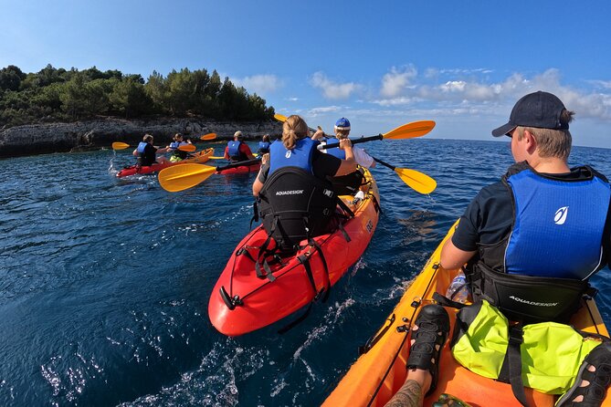 Cape Kamenjak Guided Kayak Sunset Tour With Island Exploring - Additional Information