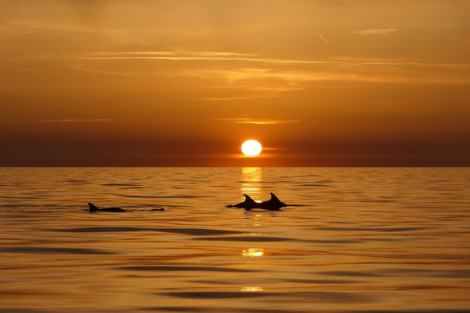 Cape Kamenjak Guided Kayak Sunset Tour With Island Exploring - Cancellation Policy