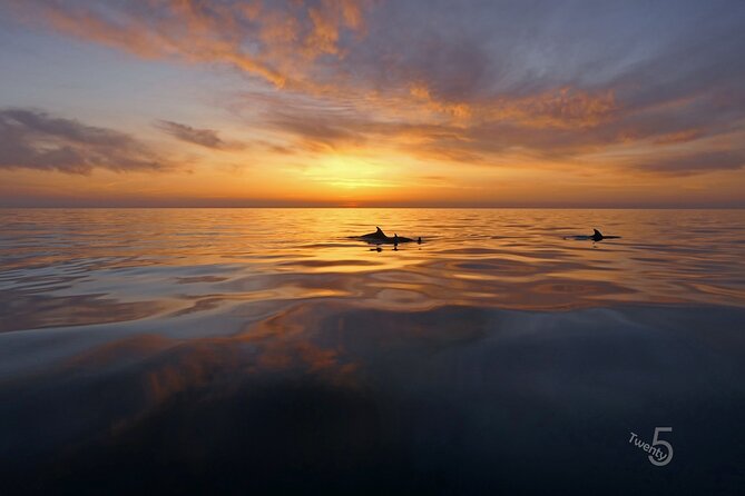 Cape Kamenjak Guided Kayak Sunset Tour With Island Exploring - Customer Reviews