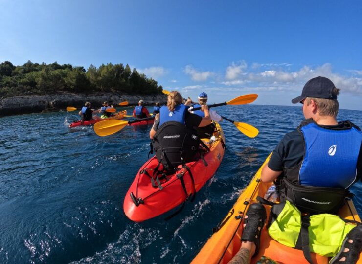 Cape Kamenjak: Guided Kayak Tours Snorkeling, Cave & Cliff - Experience Highlights