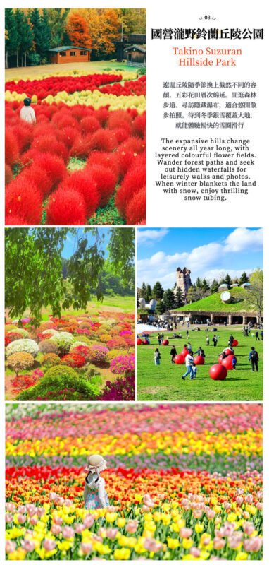 Cape Kamui, Otaru Canal & Fruit Picking Day Trip - Fruit picking depends on the season