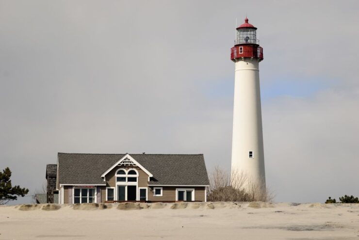 Cape May: 2-Hour Dolphin Watching Cruise - Activity Details
