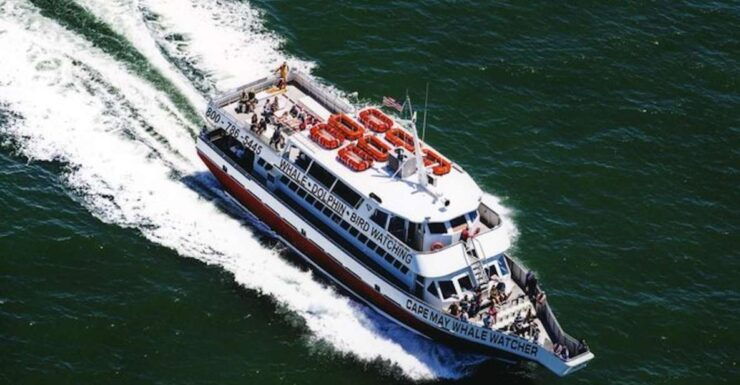 Cape May: Grand Lighthouse Cruise - Activity Details and Benefits