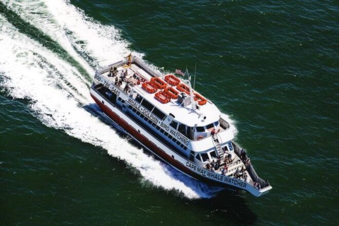 Cape May: Grand Lighthouse Cruise - Wheelchair Accessibility