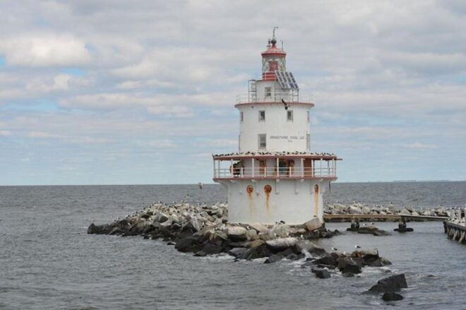 Cape May: Grand Lighthouse Cruise - Common Questions