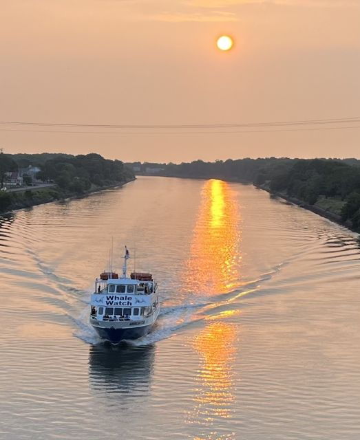 Cape May: Sunset Dolphin Watching Cruise With Food - Booking Details
