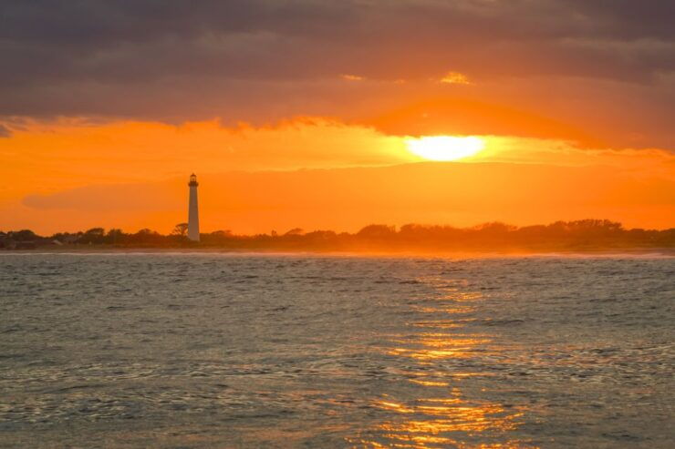 Cape May: Weekend Whale and Dolphin Watching Cruise - Live Tour Guide and Accessibility