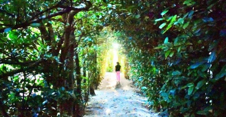 Cape Miyakozaki and Kuninao Village Walk - Activity Details