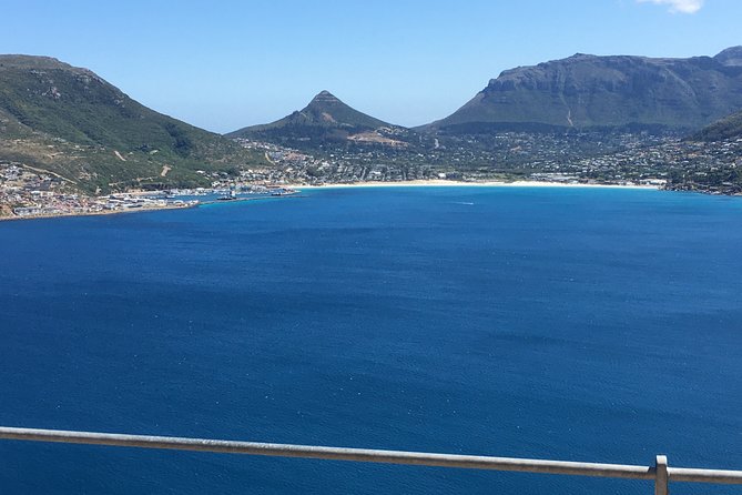 Cape of Good Hope and Boulders Beach Full Day Tour - Tour Highlights