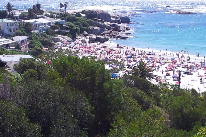 Cape of Good Hope and Cape Winelands Day Tour From Cape Town - Tour Overview