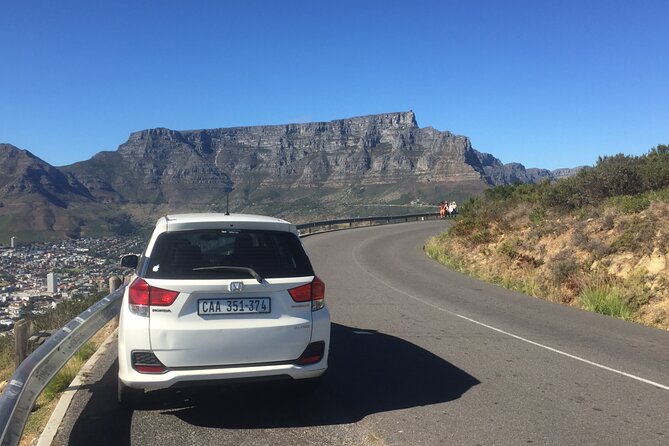 Cape of Good Hope and Have to See Ostriches Penguin, Bamboons - Ostriches: A Fascinating Encounter