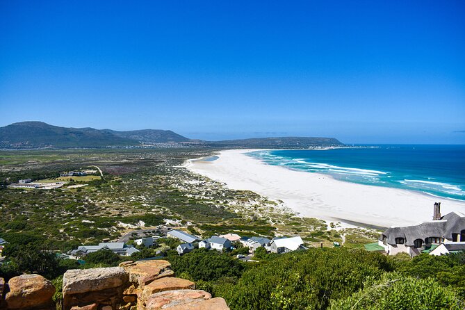 Cape of Good Hope and Penguins Full-Day Tour From Cape Town - Highlights of the Tour