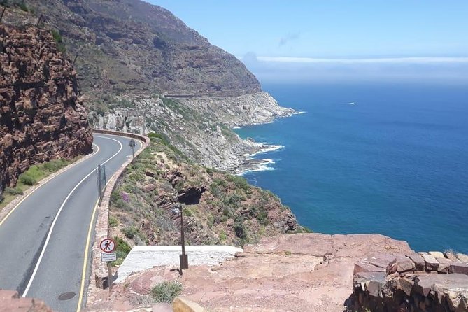 Cape of Good Hope and Penguins - Small Group - Full Day - Optional Activities