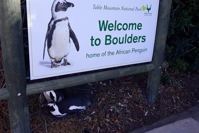 Cape of Good Hope and Penguins - Small Group - Full Day - The Sum Up