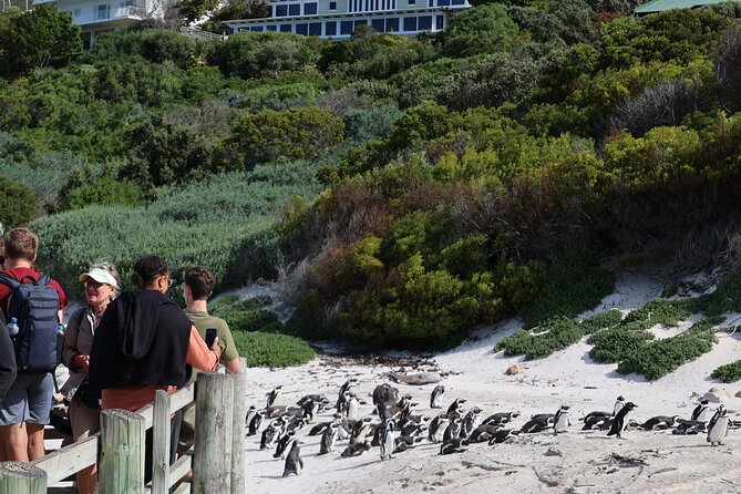 Cape of Good Hope and Table Mountain Day Trip From Cape Town Parks Fees Include - Penguin Viewing at Boulders Beach Entrance