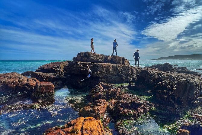 Cape of Good Hope Cape Point for Groups - Group Discounts and Offers