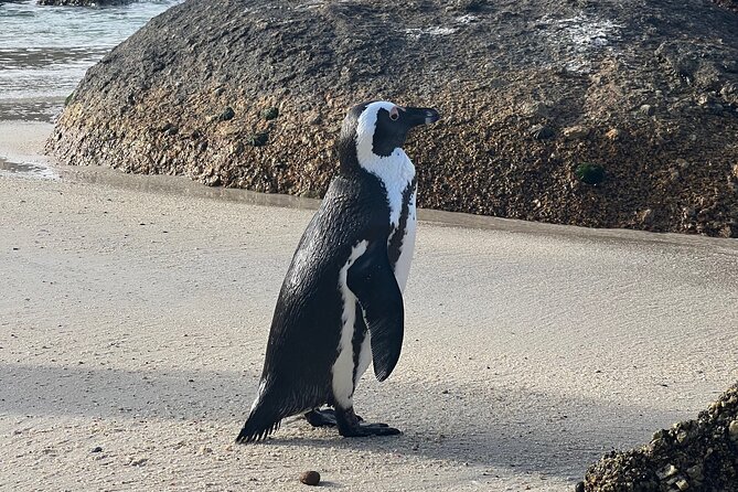 Cape of Good Hope Cape Point for Groups - Group-Friendly Facilities and Amenities