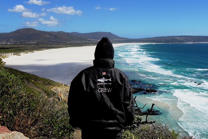 Cape of Good Hope, Cape Point & Penguins Private Customizable Full Day Tour - Optional Add-Ons