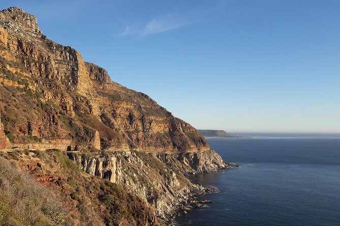 Cape of Good Hope, Cape Point & Penguins Private Morning Tour - Pickup and Drop-off Details