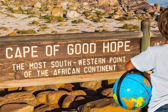 Cape of Good Hope- Chapman'S Peak Route & Penguins – Cape Town - Discovering the Fascinating World of Penguins