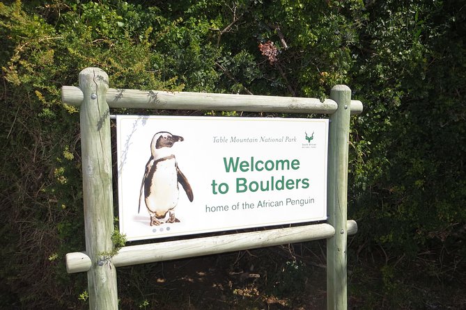 Cape of Good Hope & Penguin Small Group Tour From Cape Town - Traveler Photos