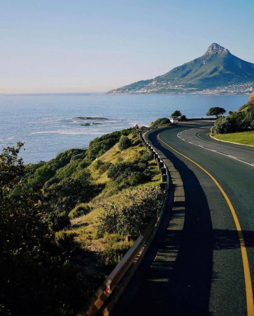 Cape Of Good Hope, Penguins, Chapmans Peak Drive, Seals Tour - Tour Experience